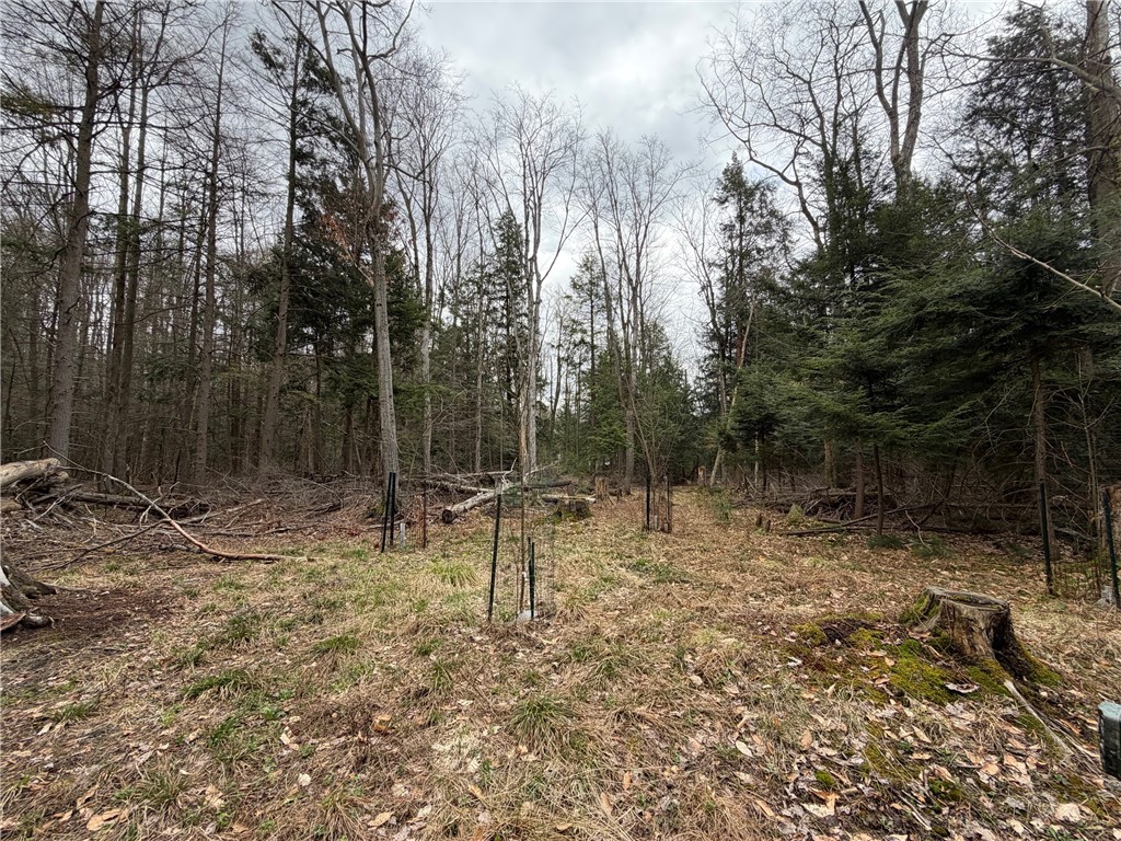 Pritchard Road Springville, NY 14141 - Photo 23 of 23