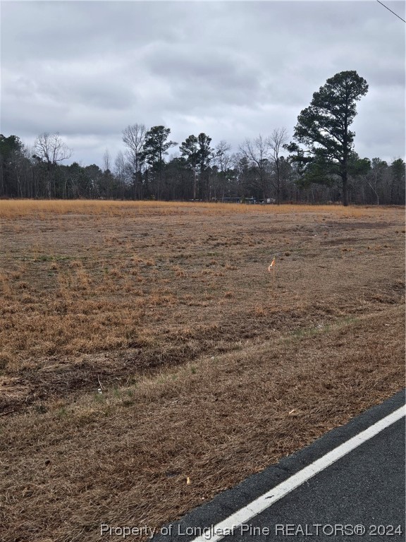 2 Odum Road Lumberton, NC 28360 - Photo 1 of 3 Gallery Image 1