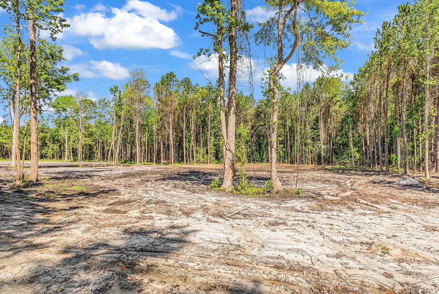 Lot 3 Coats Road Loris, SC 29569 - Photo 7 of 9 Gallery Image 7
