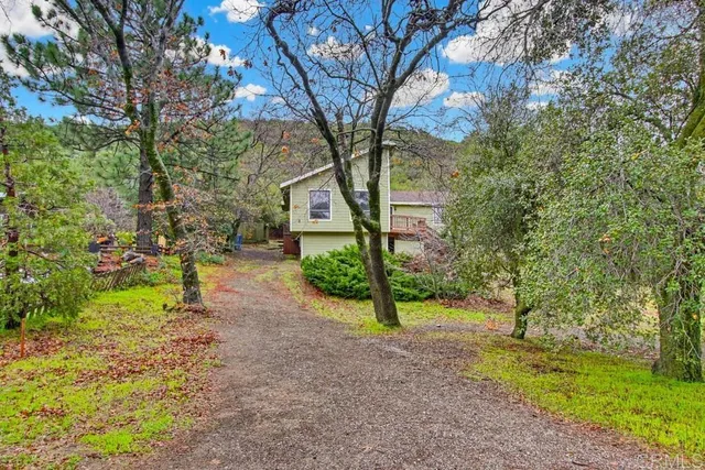 a view of a trees in front of a house