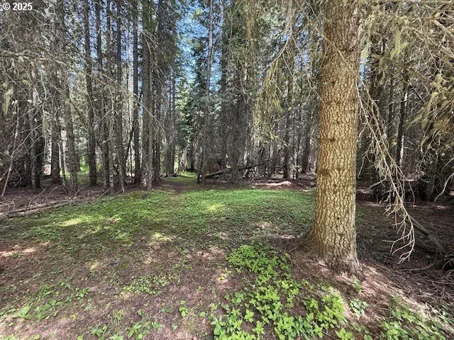 $138,000 | 77523 Cold Springs Loop, Weston, OR 97886