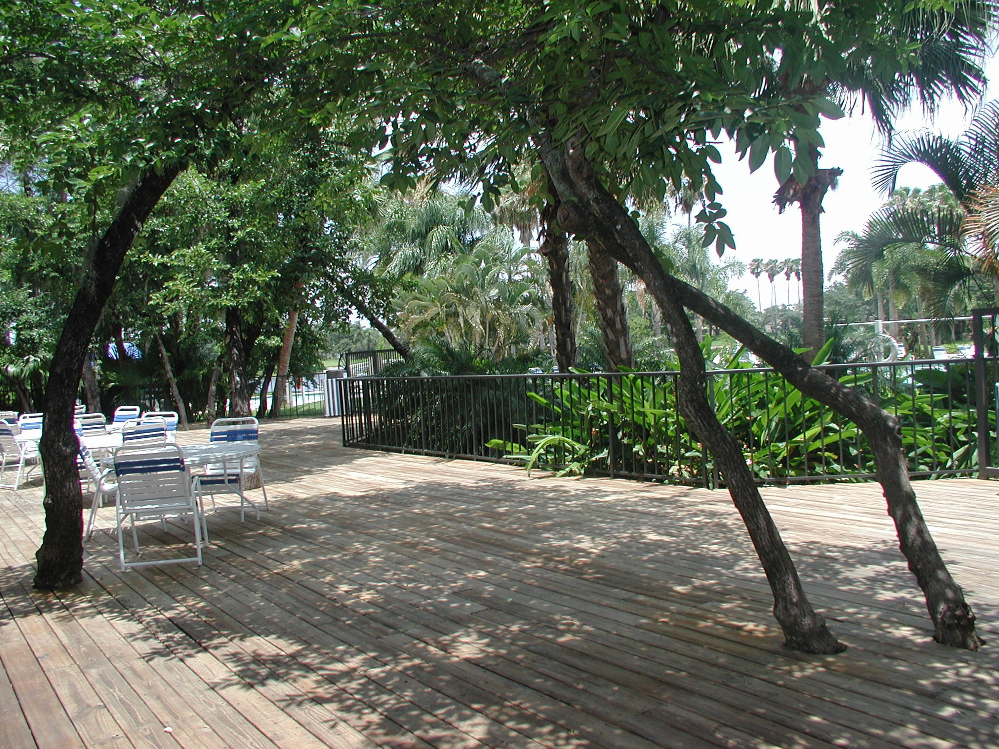 10968 La Salinas Circle Boca Raton, FL 33428 - Photo 32 of 34 Outside pool1