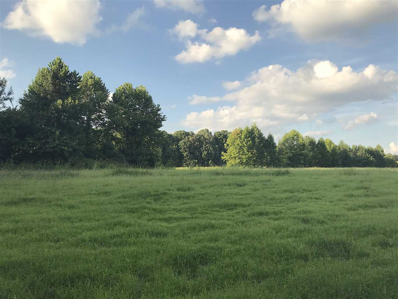 3115 Harts Bridge Road Jackson, TN 38301 - Photo 19 of 24 Photo 19