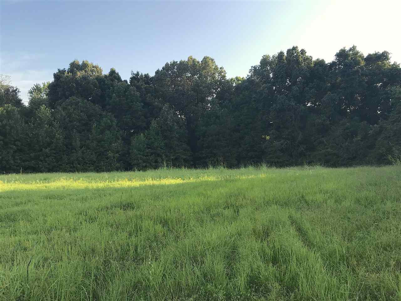 3115 Harts Bridge Road Jackson, TN 38301 - Photo 20 of 24 Photo 20