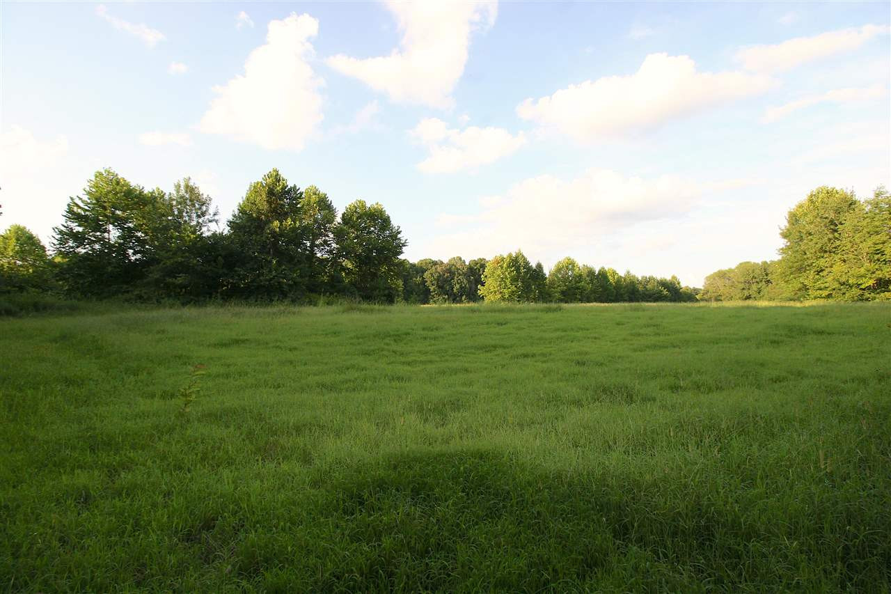 3115 Harts Bridge Road Jackson, TN 38301 - Photo 24 of 24 Photo 24