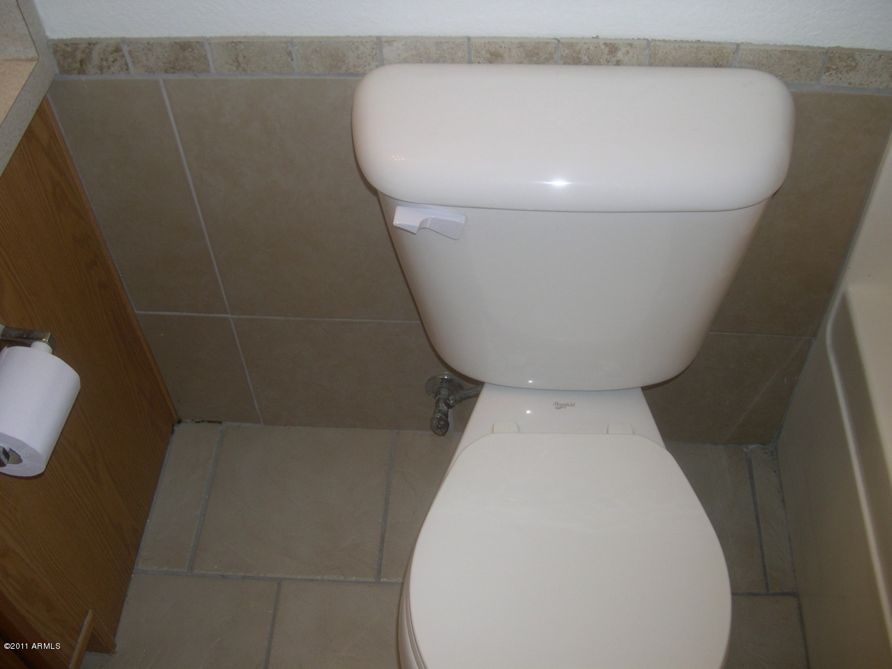 9560 West Monte Vista Road Phoenix, AZ 85037 - Photo 10 of 13 Bathroom #1