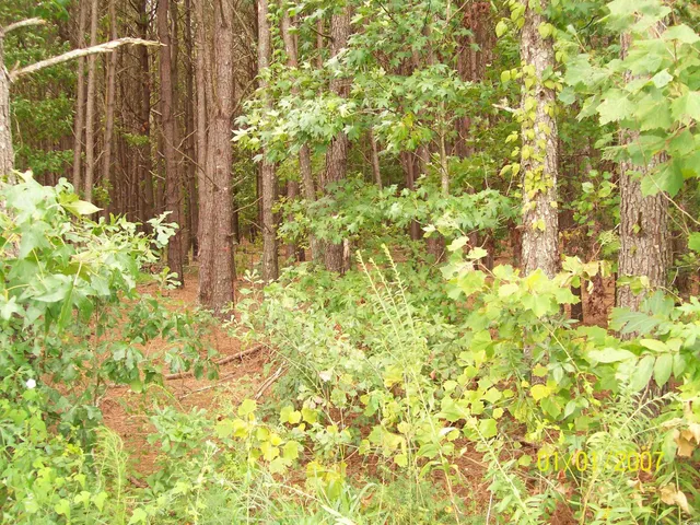 $73,590 | Lot 2 Riverbend Road, Loris, SC 29569