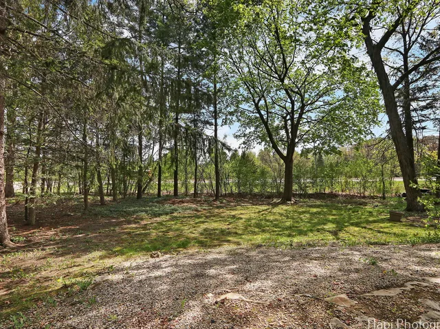 a big yard with trees