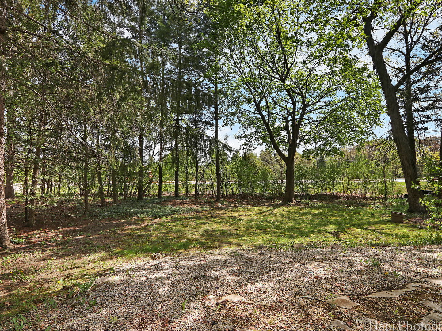 1291 Banbury Road Mundelein, IL 60060 - Photo 20 of 22 a big yard with trees