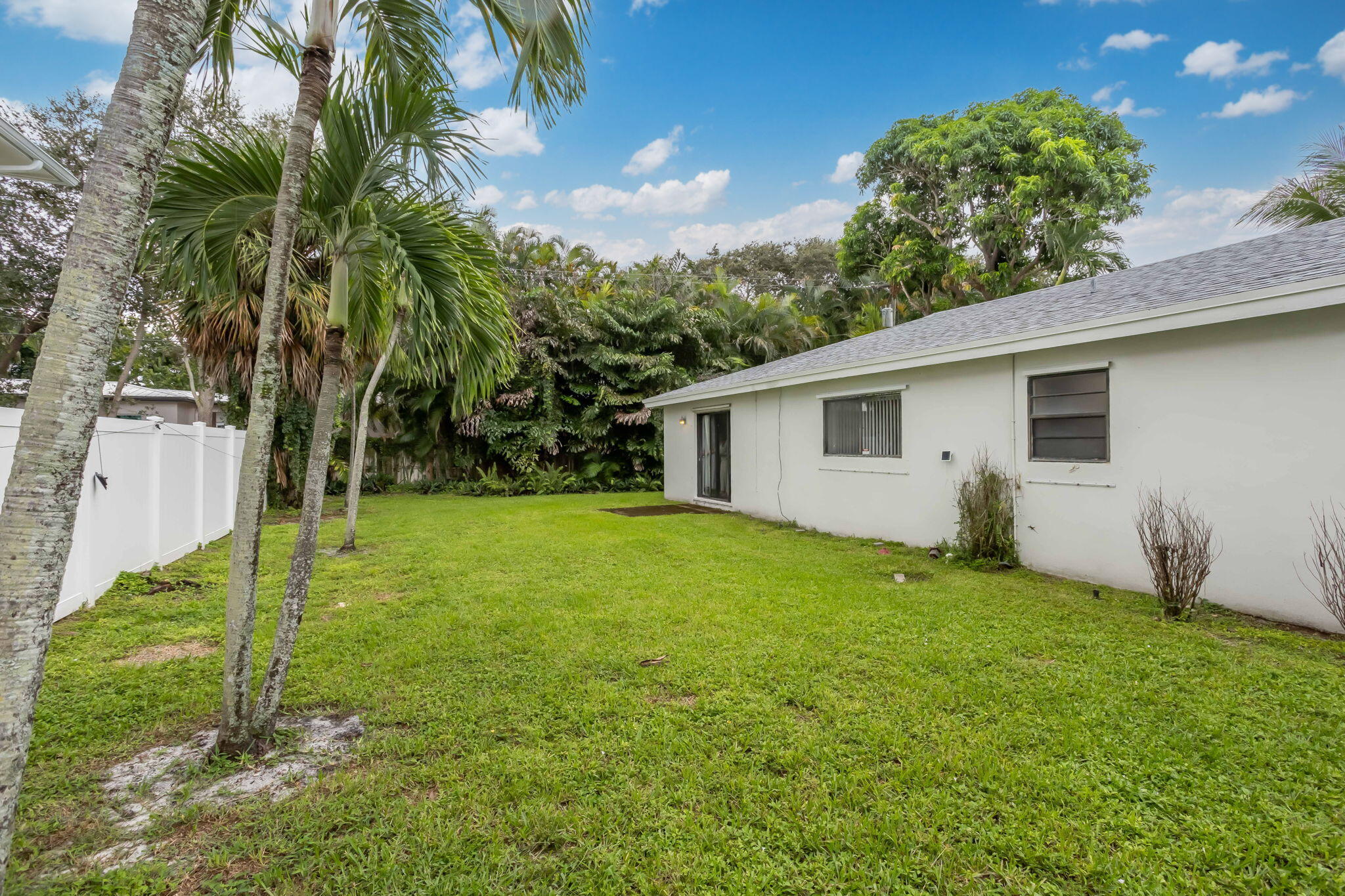631 Bailey Street Boca Raton, FL 33487 - Photo 19 of 31 a view of a backyard with plants and a large tree
