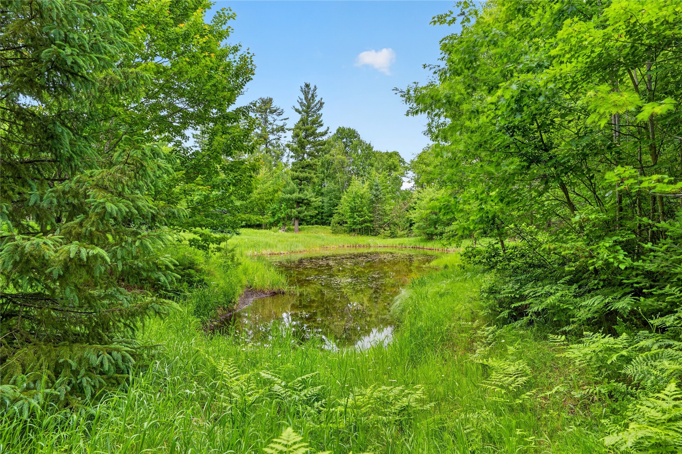 5590 Snowshoe Road Solon Springs, WI 54873 - Photo 32 of 49