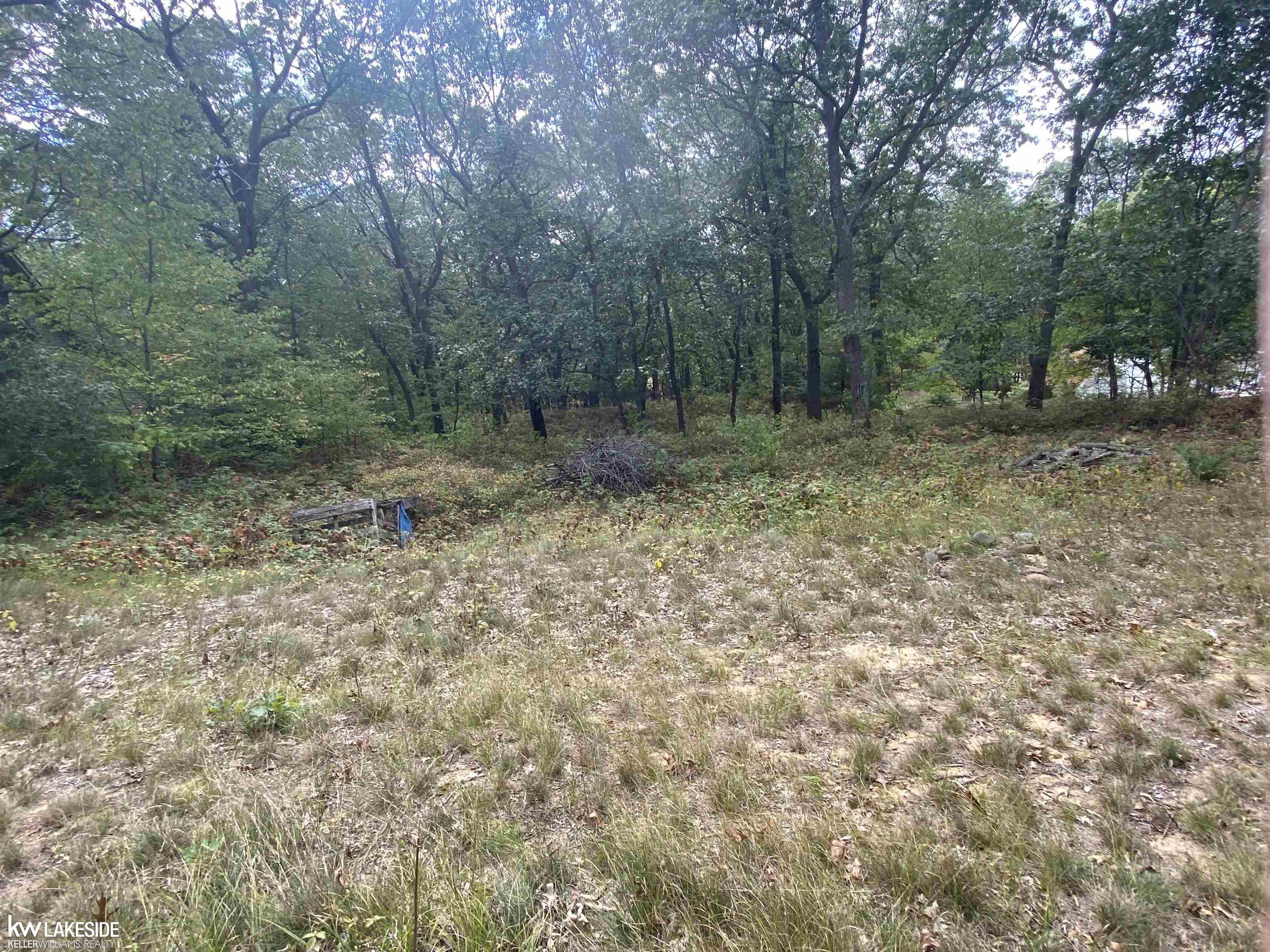 0 Port Austin Road Caseville, MI 48725 - Photo 2 of 6