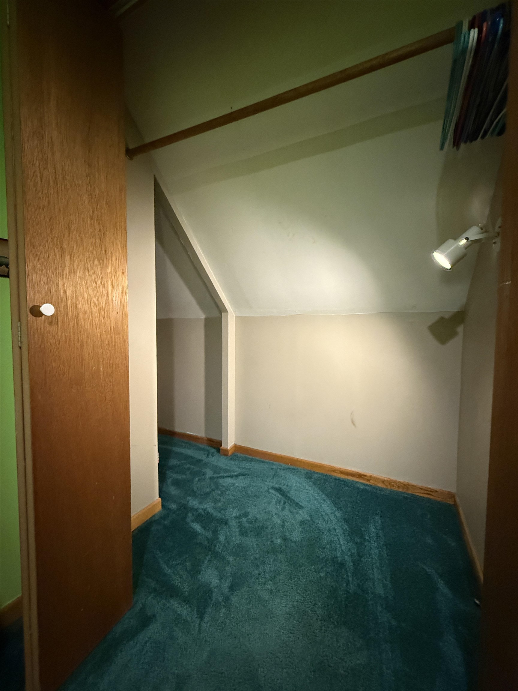 809 16th Street North Virginia, MN 55792 - Photo 31 of 44 Bonus room featuring lofted ceiling and carpet floors