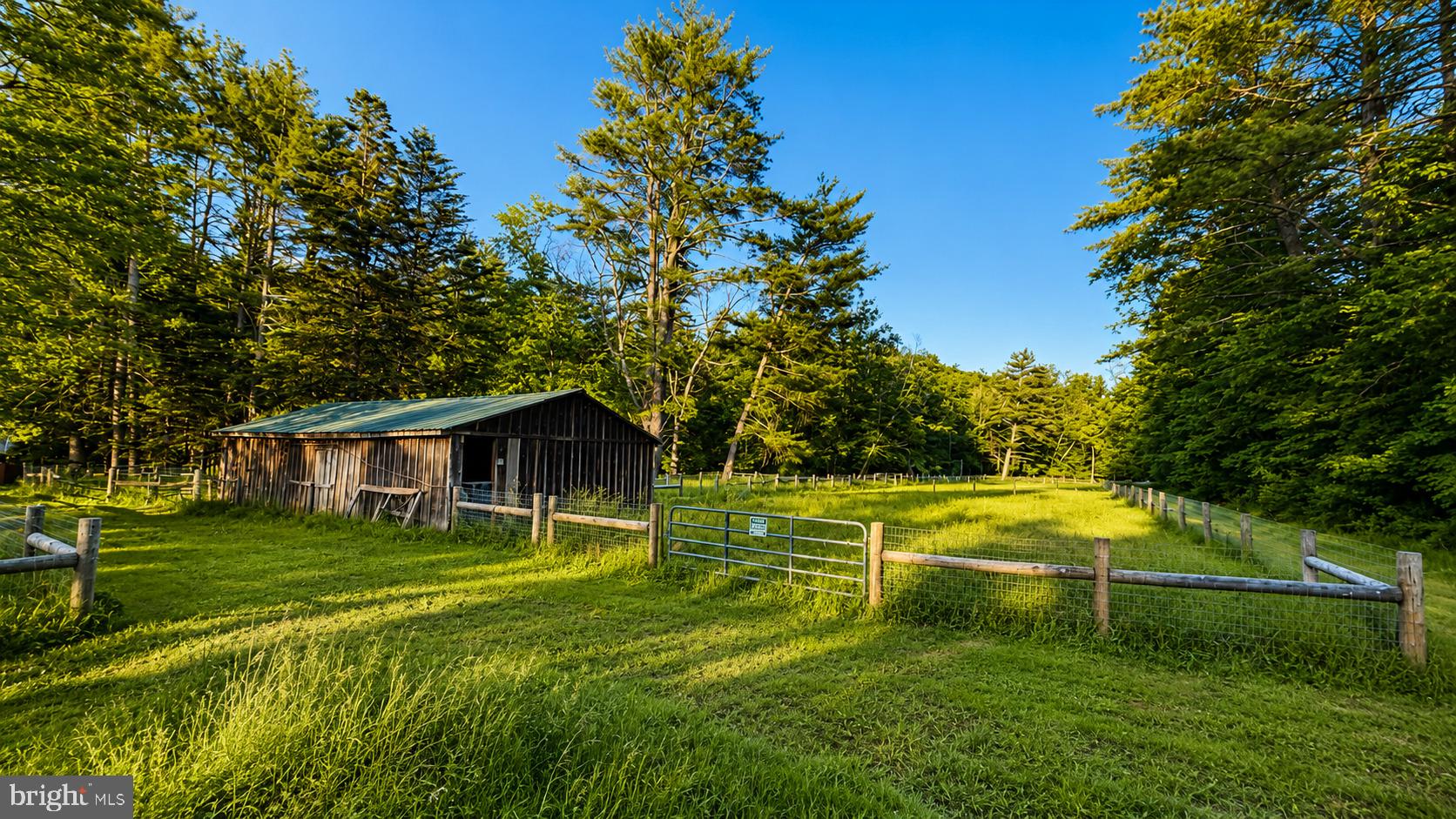 1009 1st Fork Road Jersey Shore, PA 17740 - Photo 74 of 116