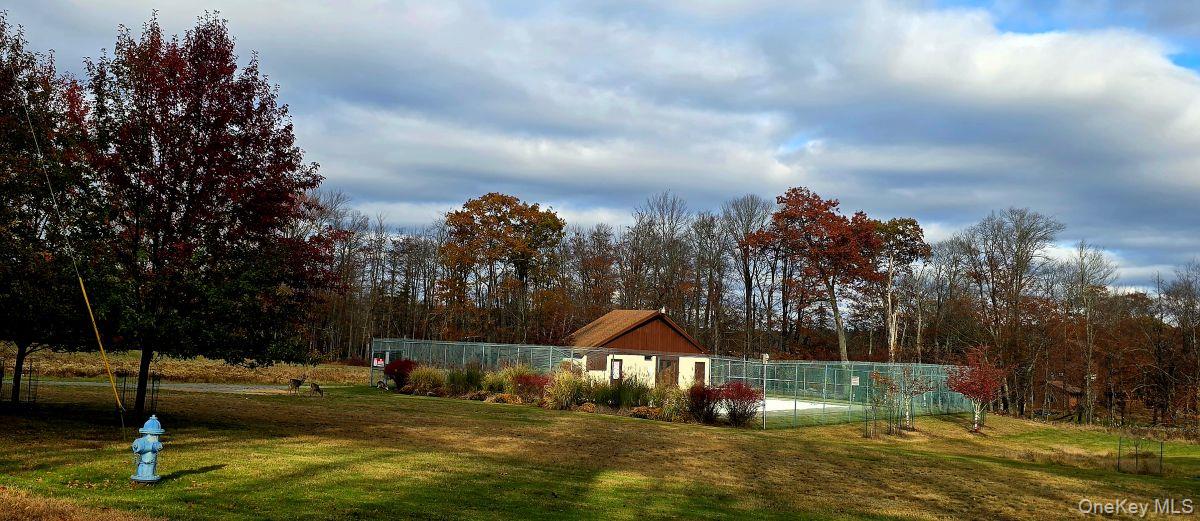 14 Lena Road Monticello, NY 12777 - Photo 11 of 22 a backyard of house with lots of green space