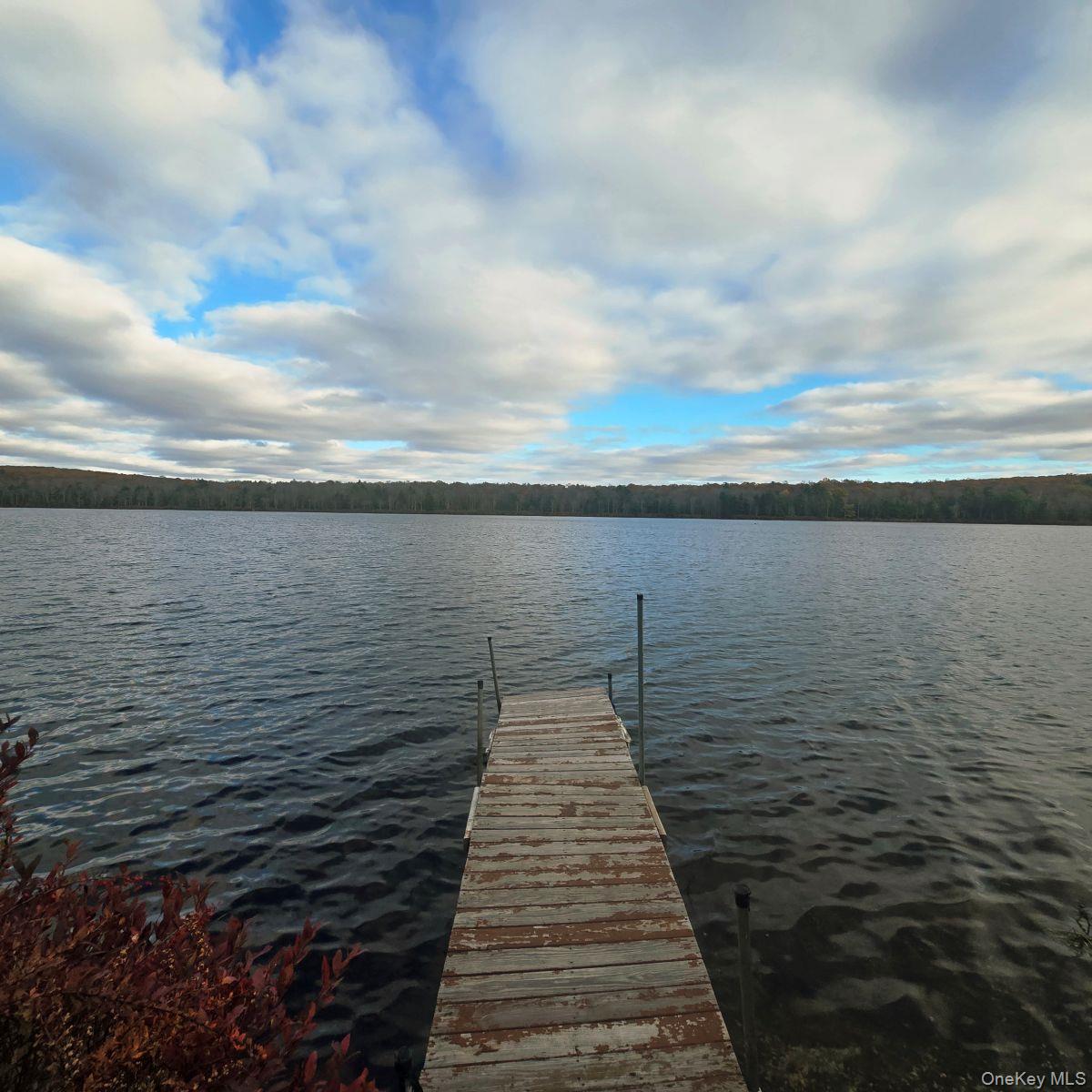 14 Lena Road Monticello, NY 12777 - Photo 2 of 22 a view of outside space