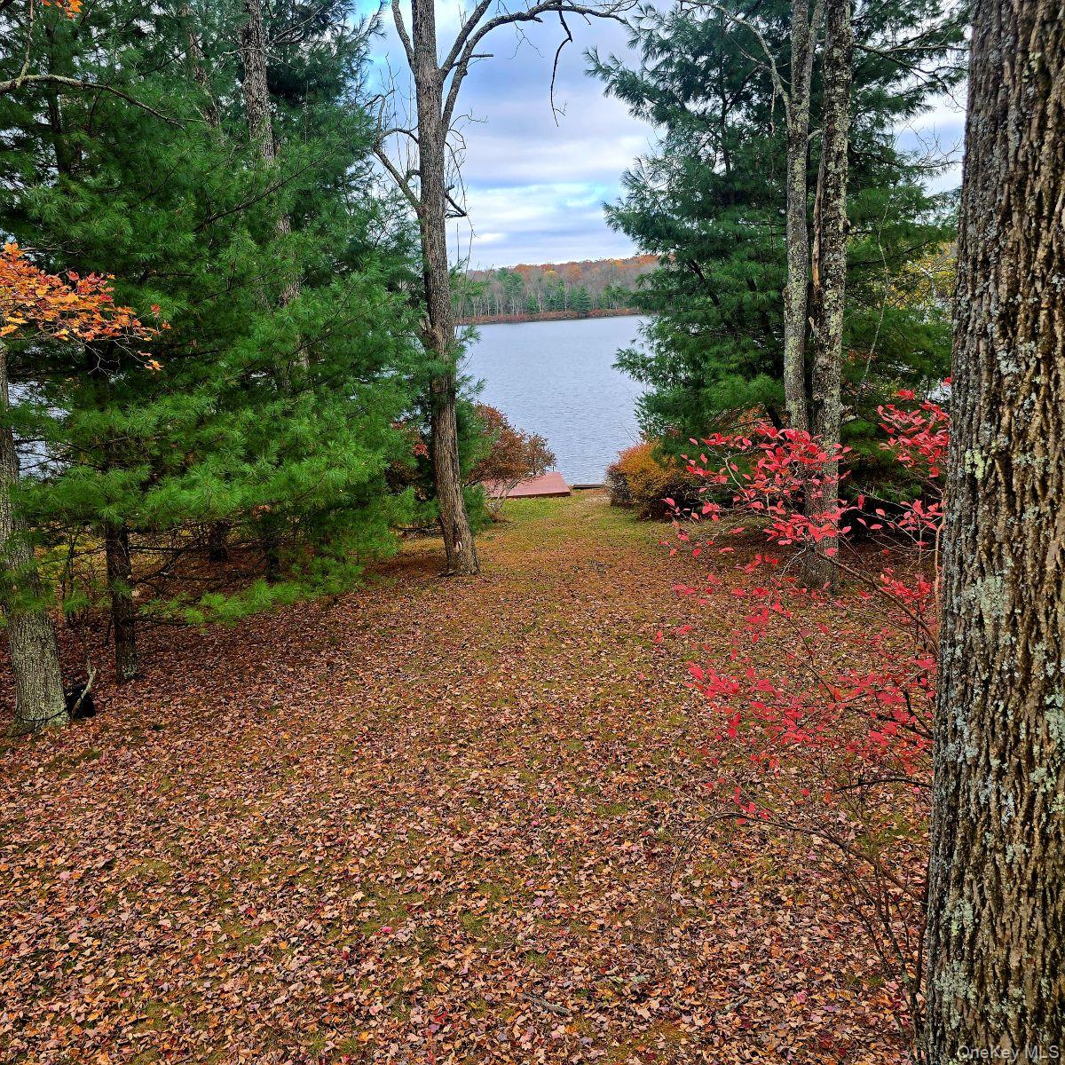 14 Lena Road Monticello, NY 12777 - Photo 5 of 25 a view of a garden with plants and large trees
