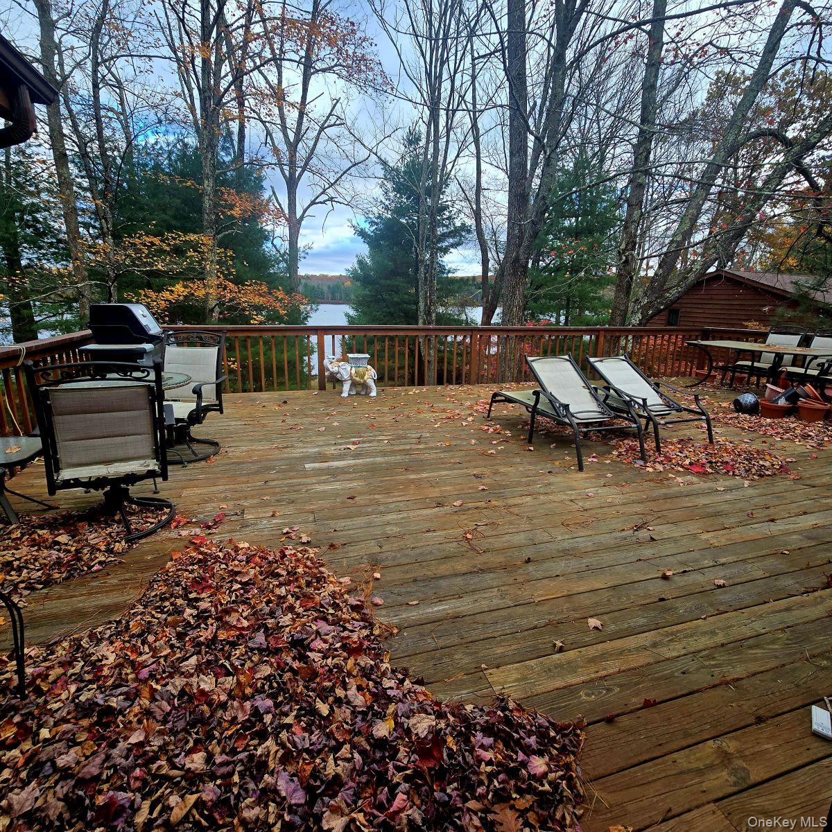14 Lena Road Monticello, NY 12777 - Photo 6 of 22 a view of outdoor space with deck and trees