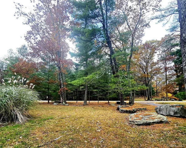 a view of a yard with swimming pool