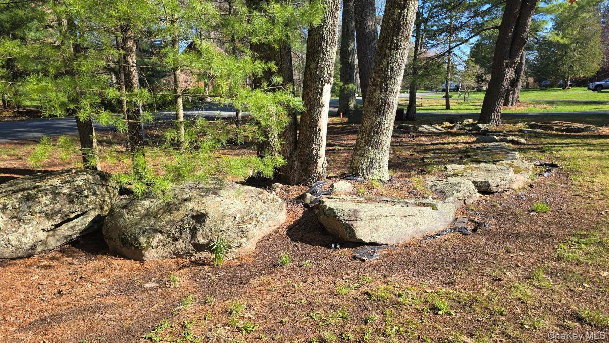 14 Lena Road Monticello, NY 12777 - Photo 8 of 25 a view of a backyard