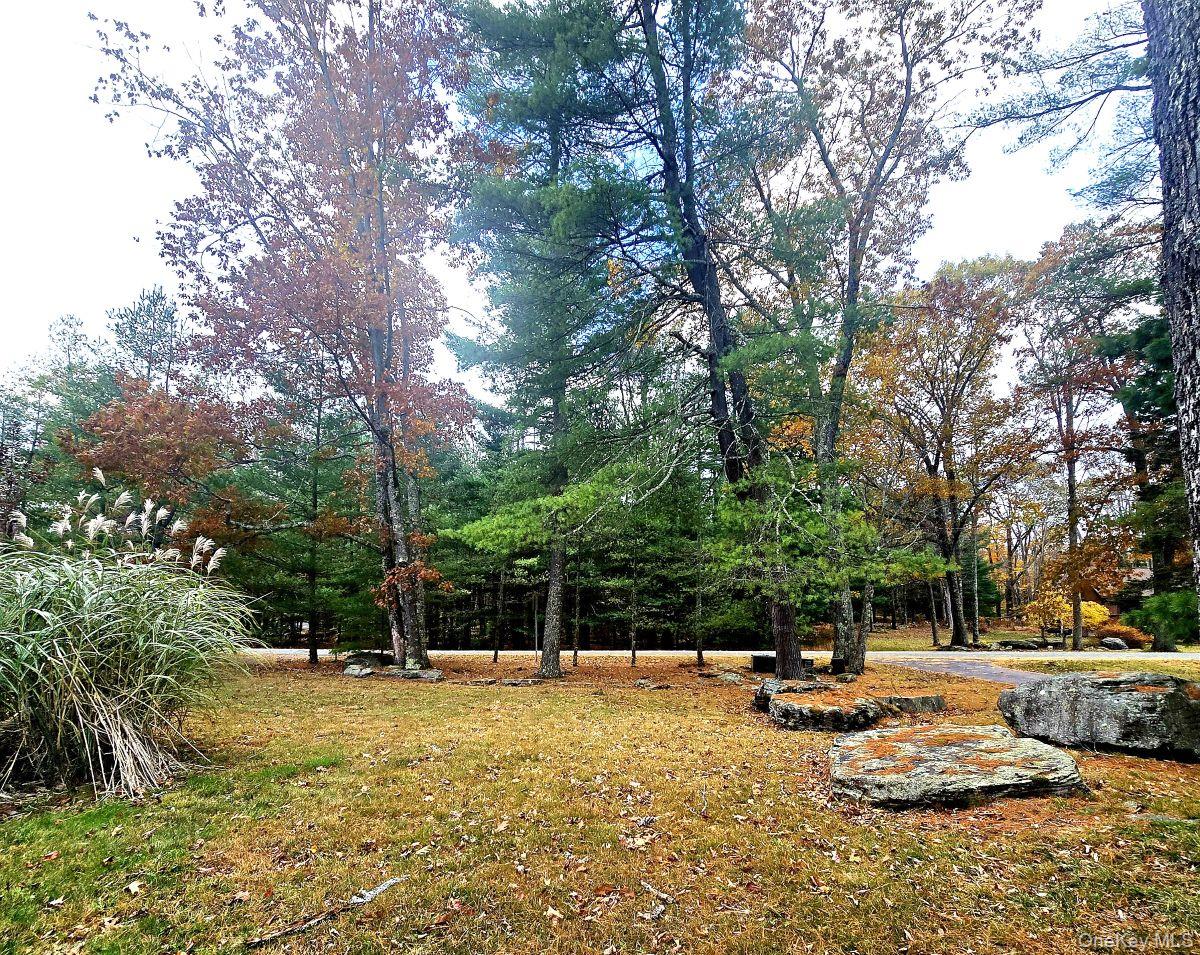 14 Lena Road Monticello, NY 12777 - Photo 9 of 25 a view of a yard with swimming pool