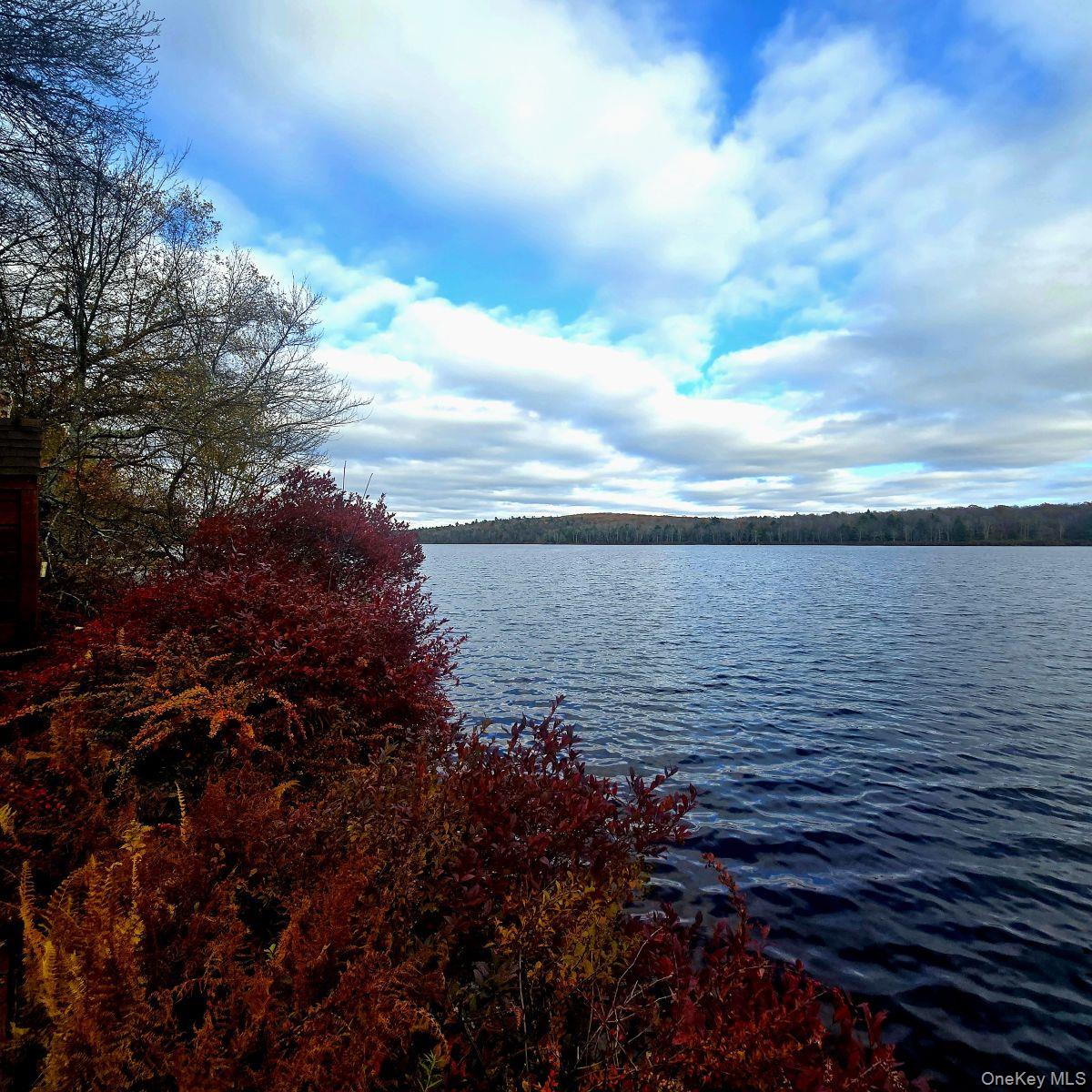14 Lena Road Monticello, NY 12777 - Photo 10 of 22 a view of a lake view