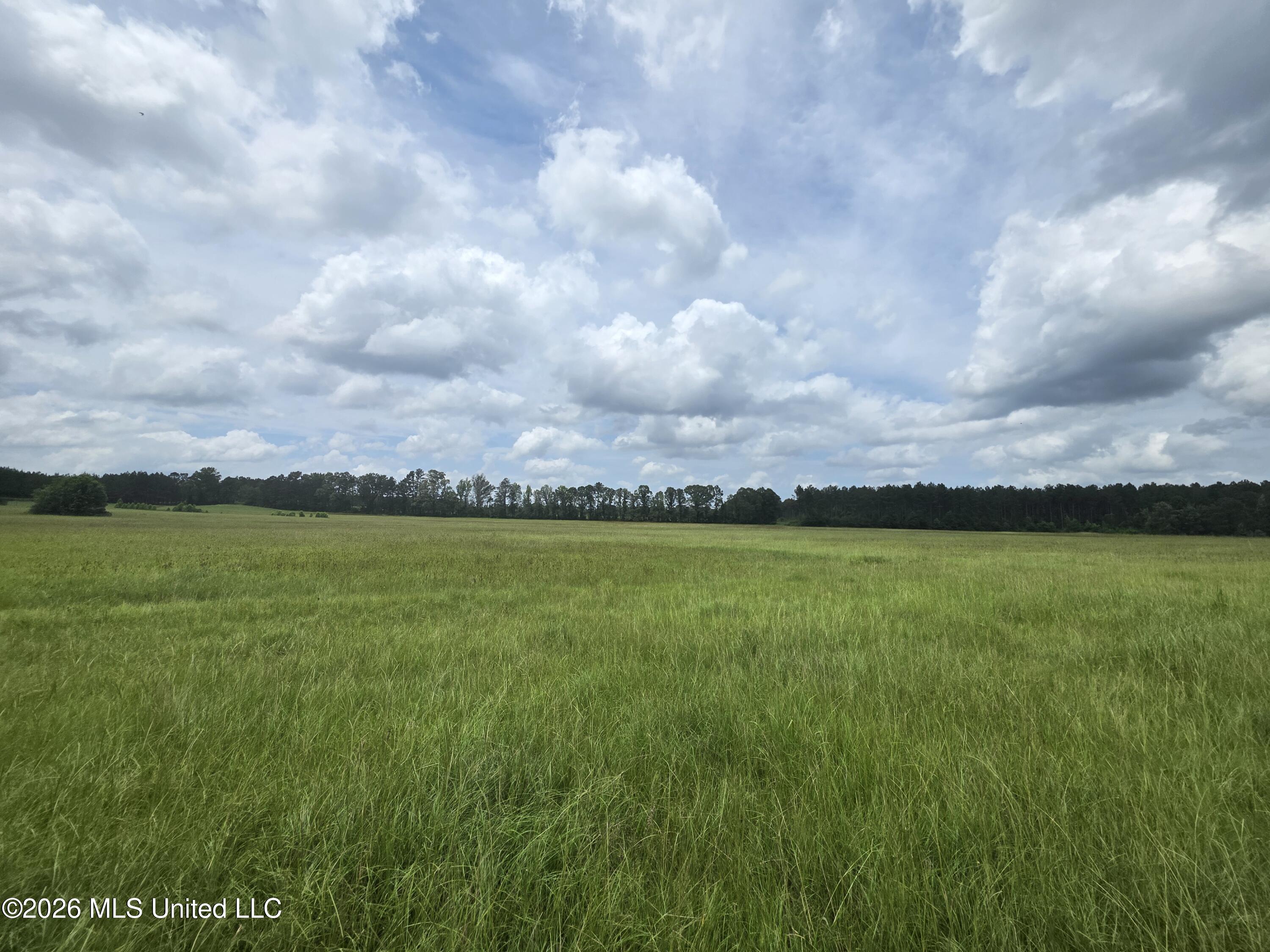 244 Foster Road Sontag, MS 39665 - Photo 49 of 105 35551