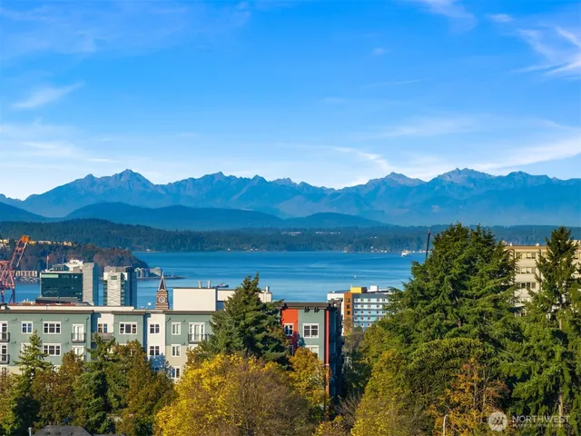 a view of a lush green field