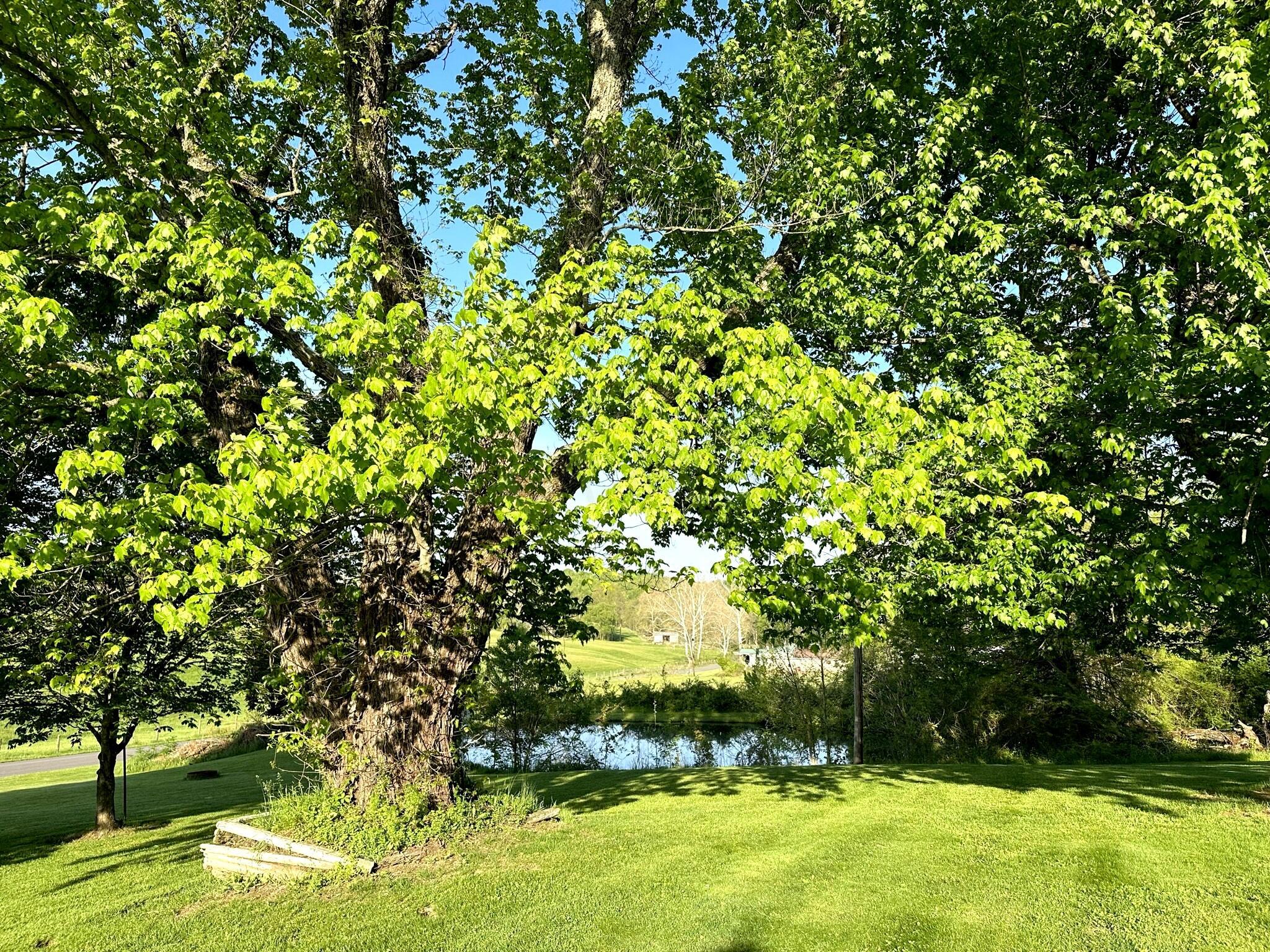 2118 Finley Chapel Road Wellston, OH 45692 - Photo 4 of 49 Pond