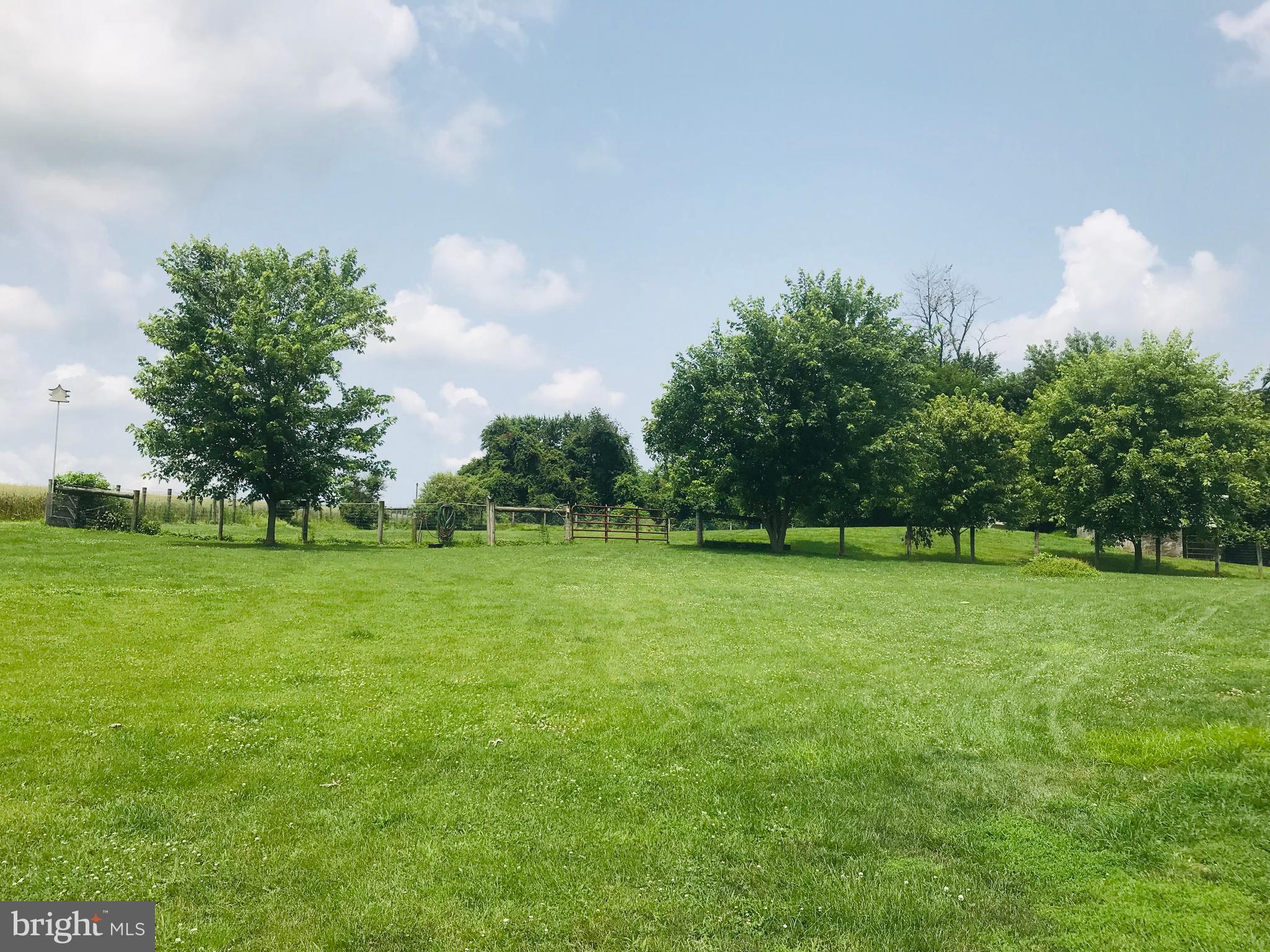 210 Crest Road Lititz, PA 17543 - Photo 8 of 14 Yard plus pasture