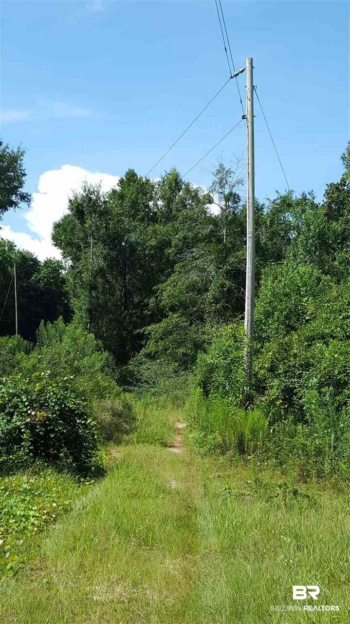 13381 US Highway 98 Foley, AL 36535 - Photo 2 of 4