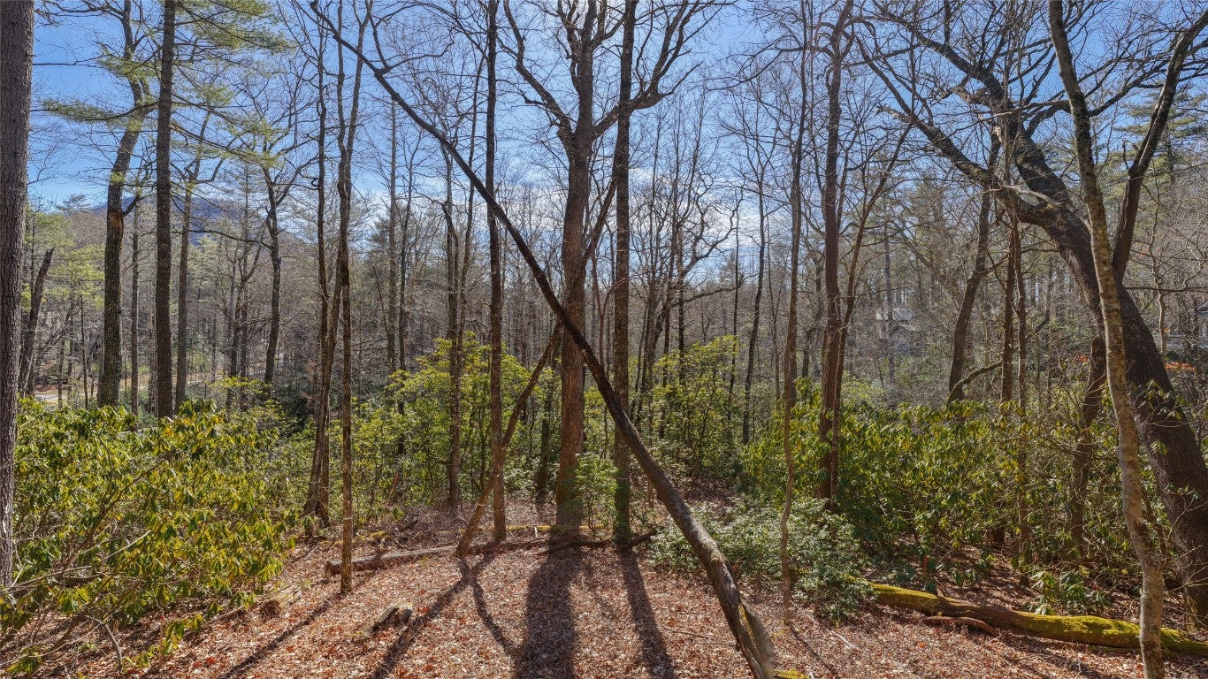 87 Flagstone Road Sapphire, NC 28774 - Photo 7 of 14 Gallery Image 7