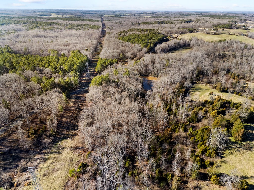 0 Abercrombie Road Honea Path, SC 29654 - Photo 3 of 5
