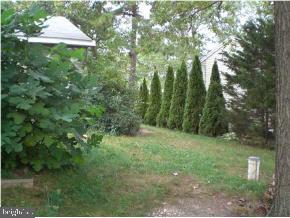 239 Sextant Road Manahawkin, NJ 08050 - Photo 6 of 12