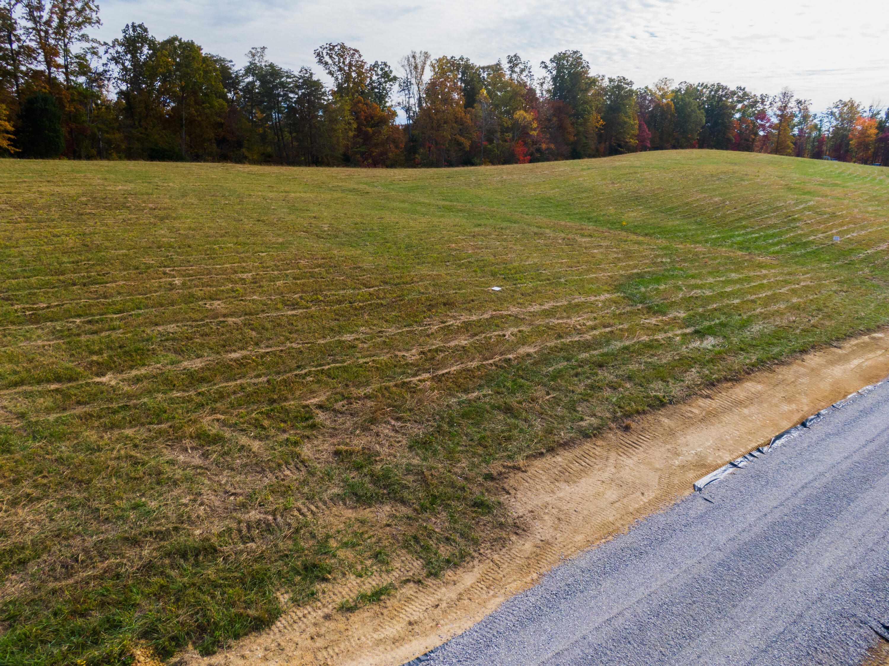 Lot 33 Spring Branch Hollow Road Nancy, KY 42544 - Photo 3 of 5 Nancy Land Photos-31