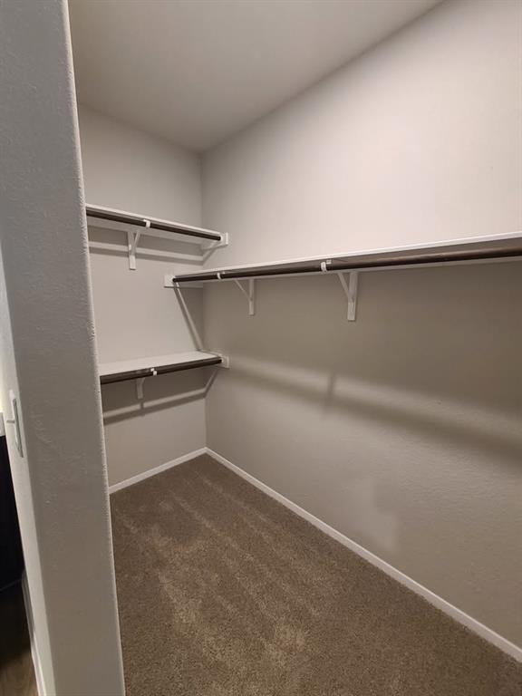 156 Huckleberry Lane Elgin, TX 78621 - Photo 6 of 16 An organized closet space offering ample storage with shelving and hanging rods.