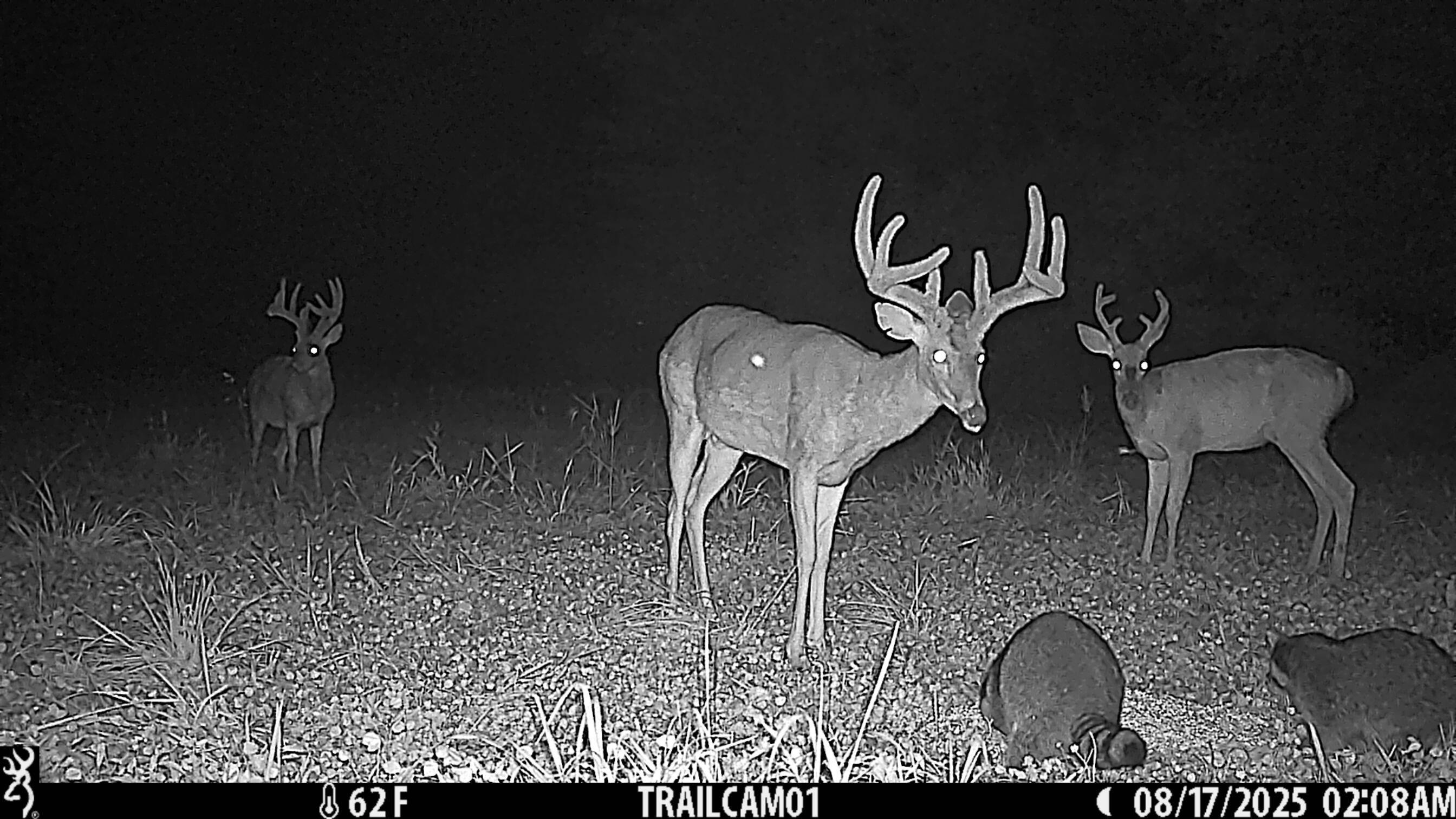 12680 Old Riley Road Frazeysburg, OH 43822 - Photo 93 of 95