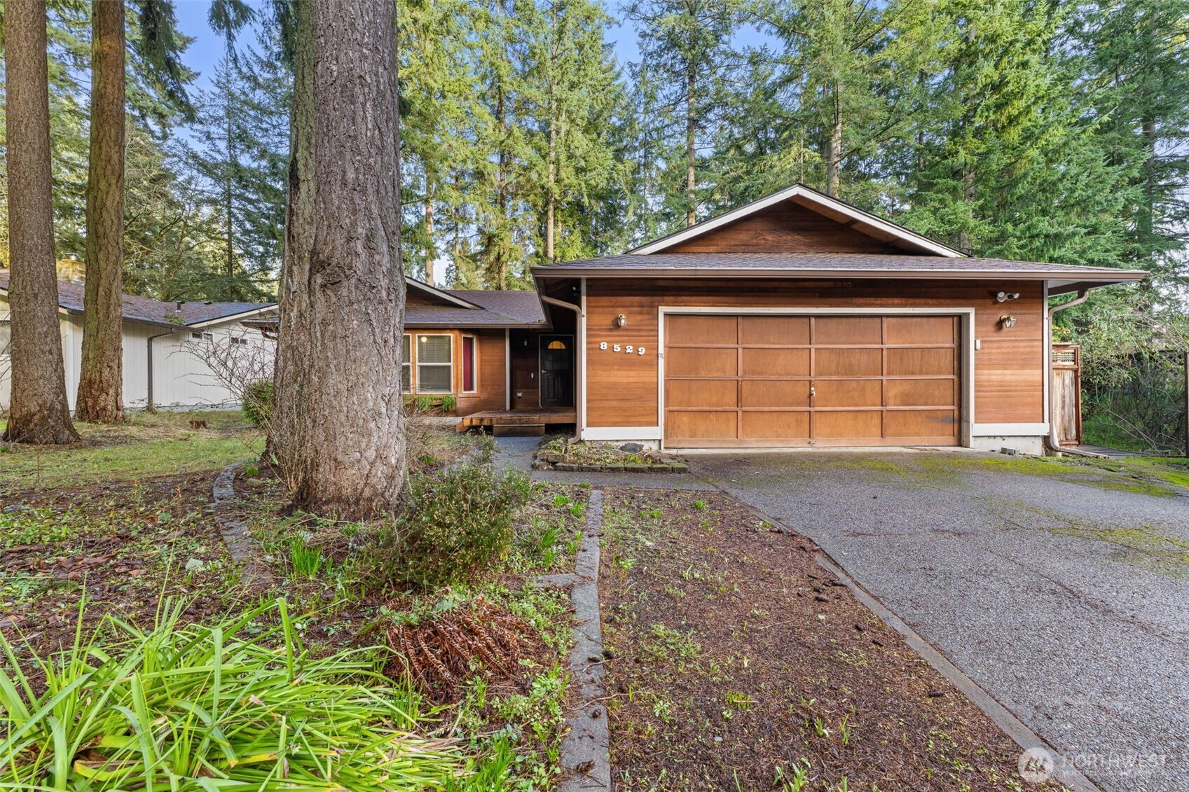 8529 37th Court Southeast Lacey, WA 98503 - Photo 1 of 34 a front view of a house with a yard and garage