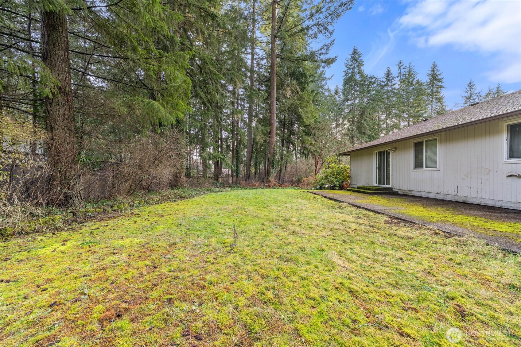 8529 37th Court Southeast Lacey, WA 98503 - Photo 25 of 34 a view of a backyard with a large tree