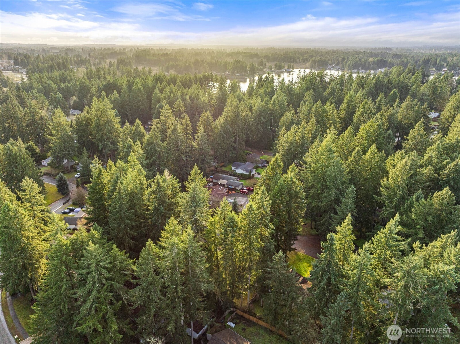 8529 37th Court Southeast Lacey, WA 98503 - Photo 31 of 34 a view of a city with lush green forest