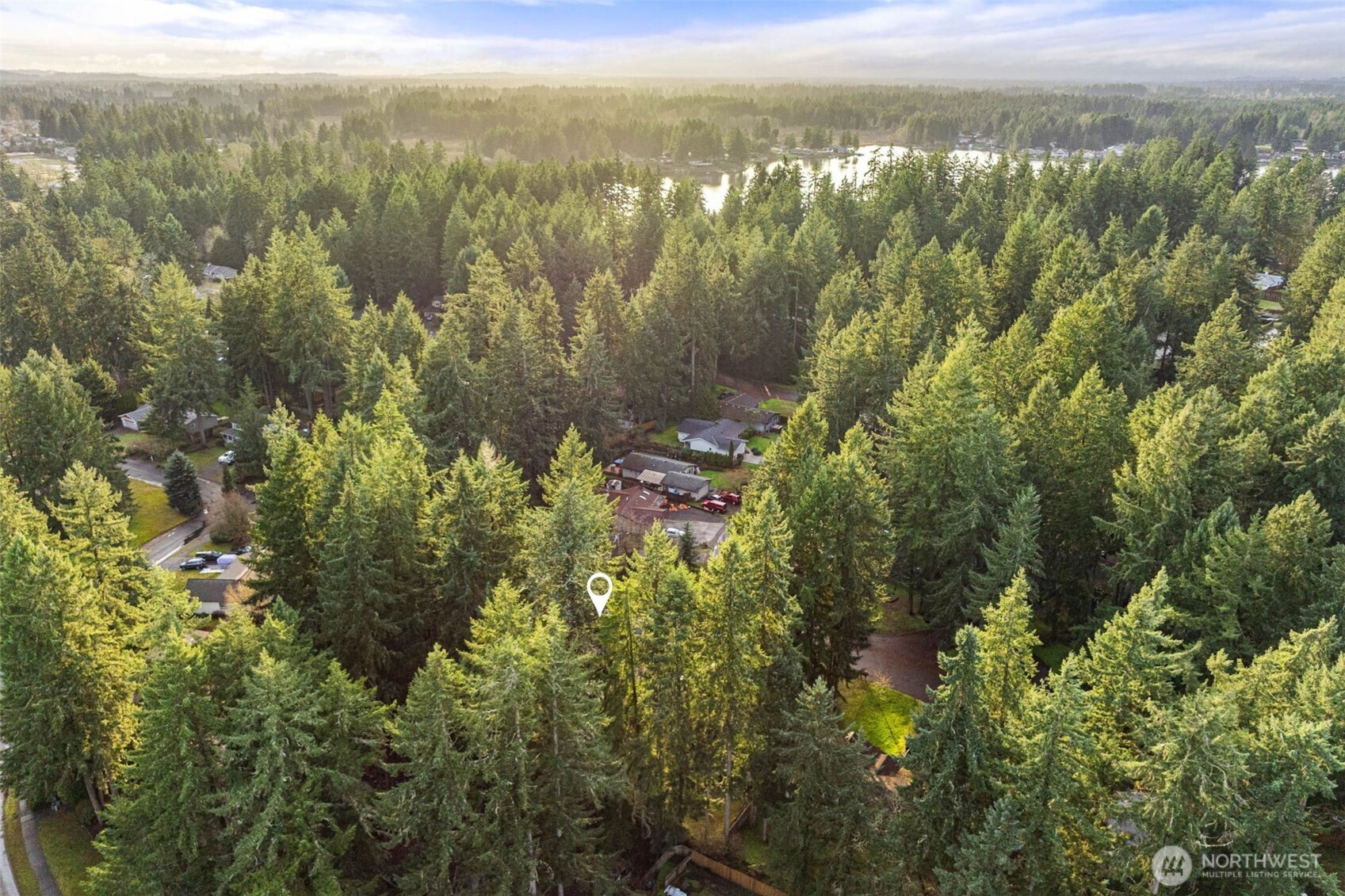 8529 37th Court Southeast Lacey, WA 98503 - Photo 34 of 34 a view of a forest with lush green forest