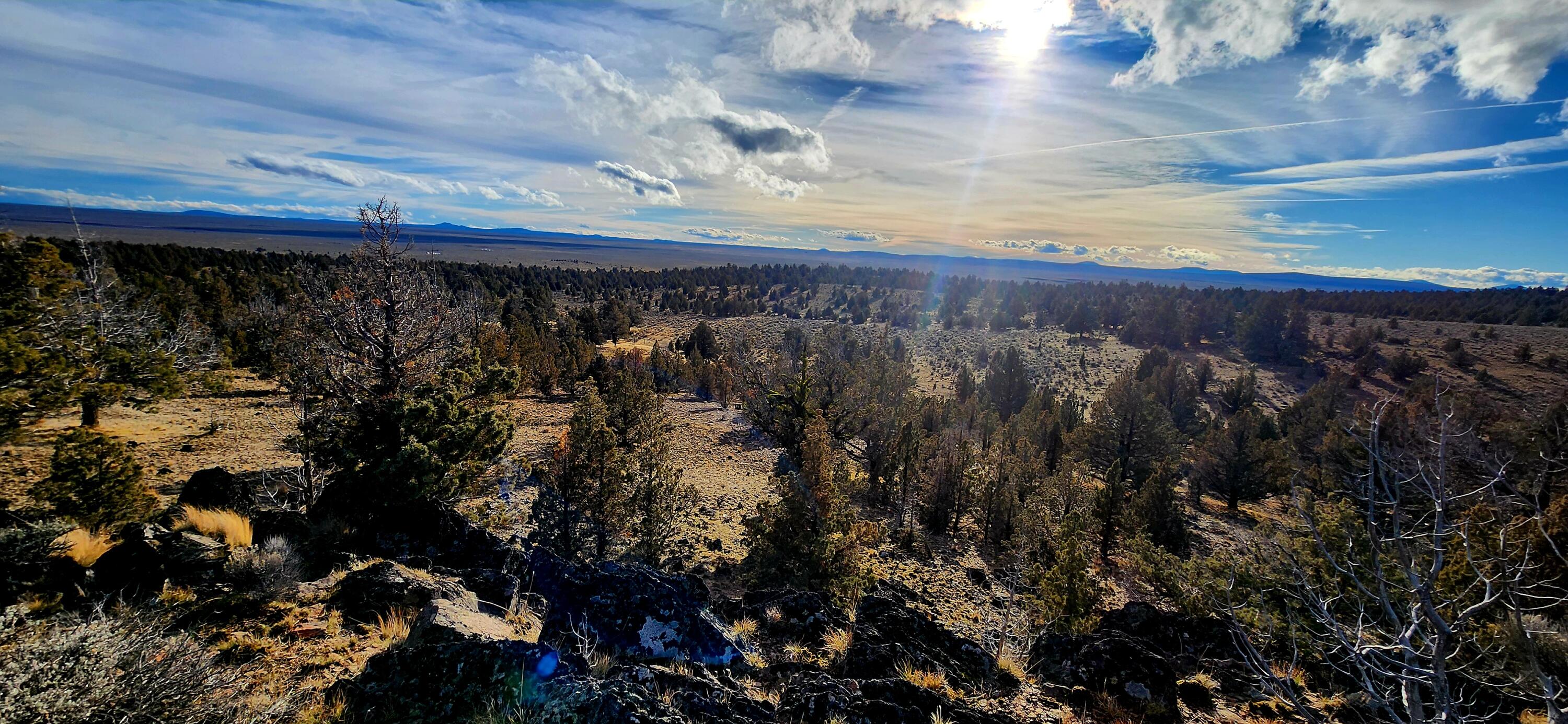 Merrill Road, Unit TL 1800 Prineville, OR 97754 - Photo 2 of 16 320ac_Img3