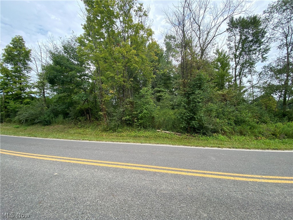 V/l Neff Road Valley City, OH 44280 - Photo 2 of 5 Gallery Image 2