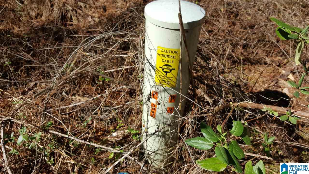 0 Baggett Road, Unit 78 / ACRES Ashland, AL 36251 - Photo 8 of 13