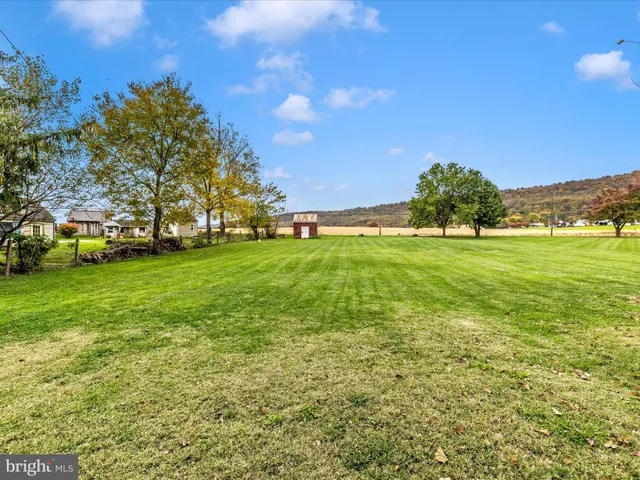 a view of a trees with a big yard