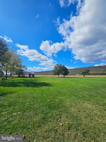 a view of a big yard with plants and large trees