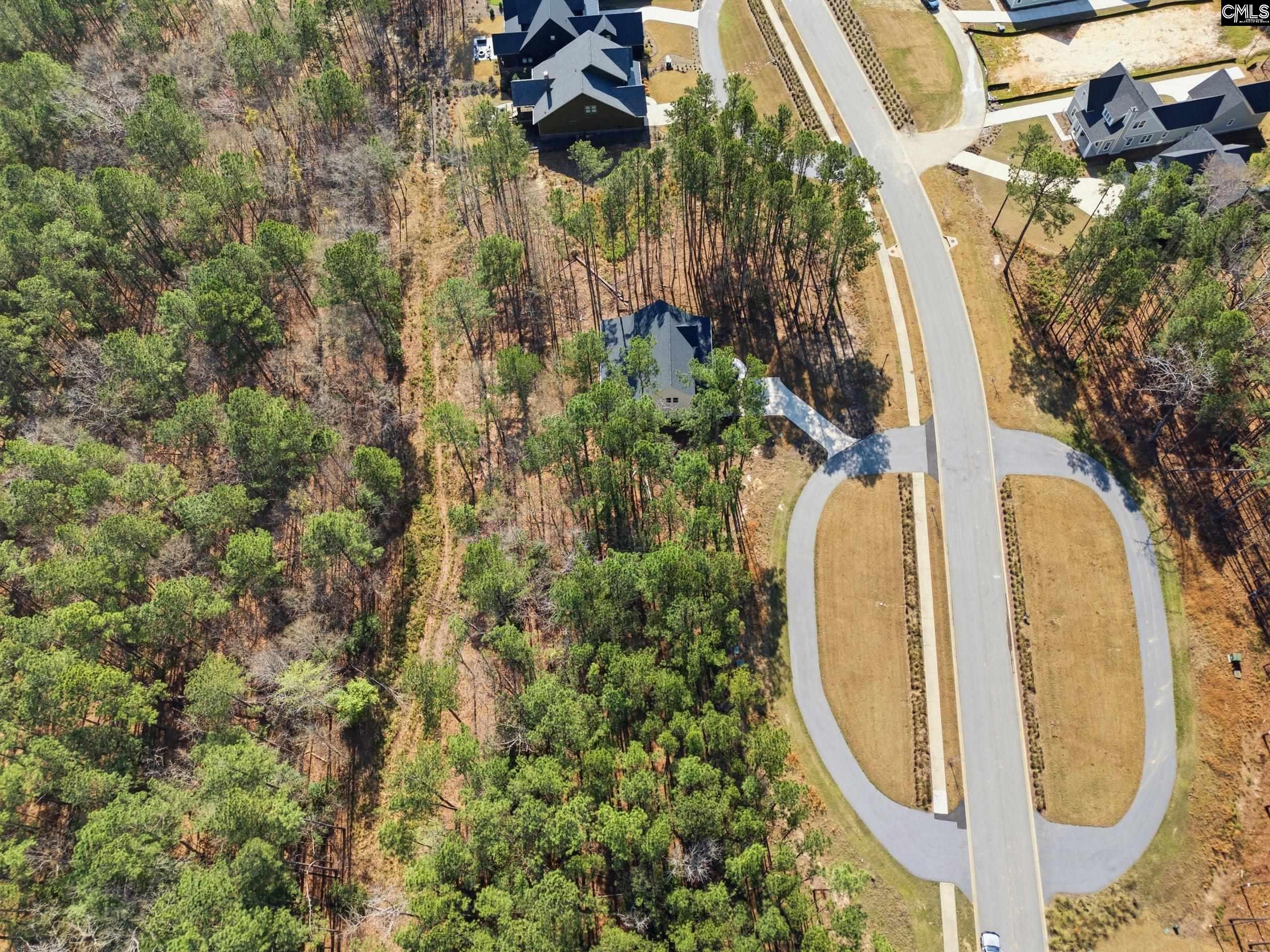 0 Timber Trl Lane Prosperity, SC 29127 - Photo 8 of 32