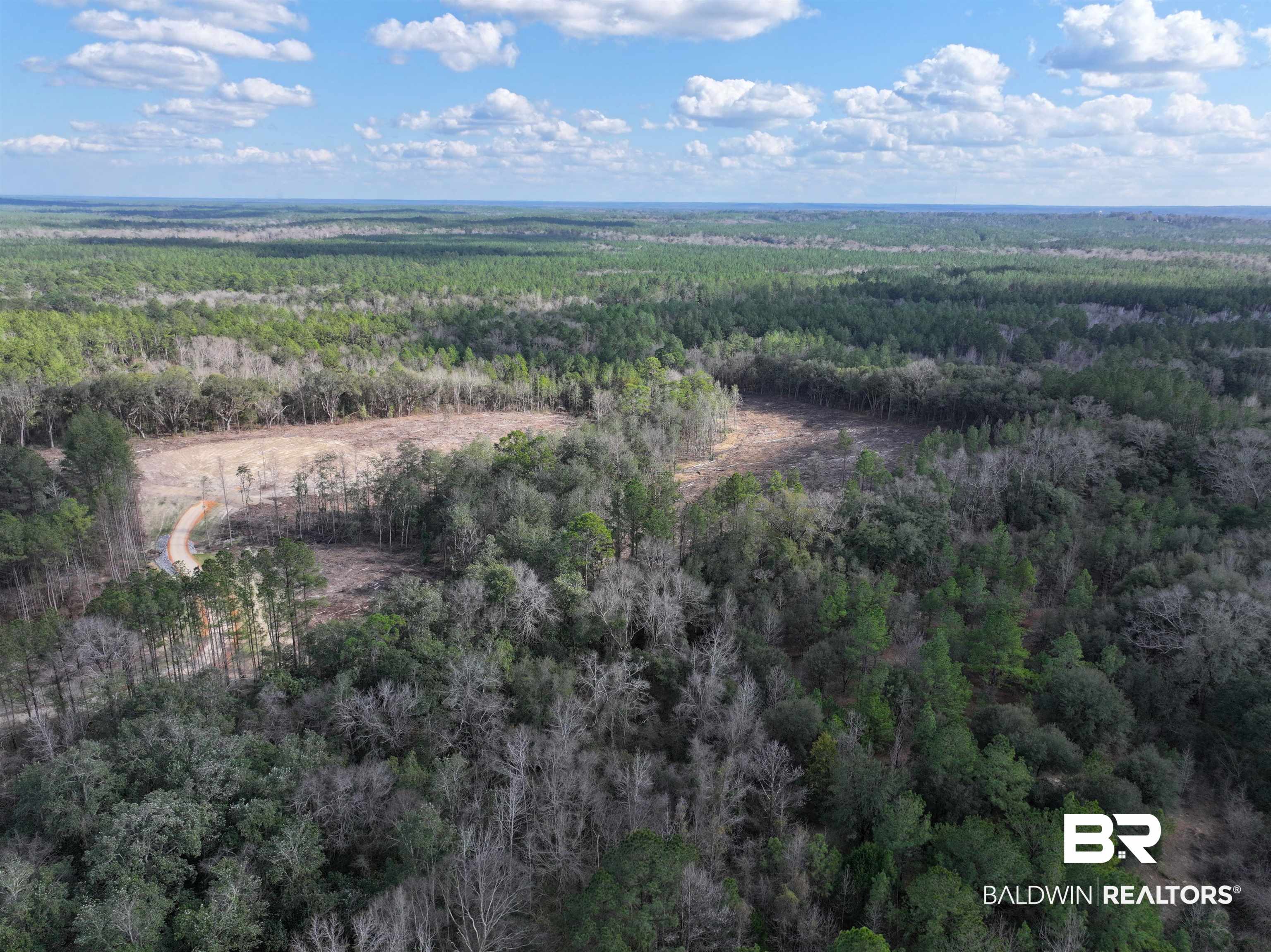 0 Kirkland Road Brewton, AL 36426 - Photo 3 of 10