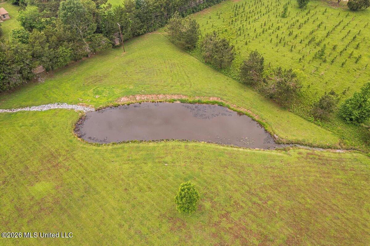 136 McCullough Lane Flora, MS 39071 - Photo 61 of 67 66-IDJI_0067