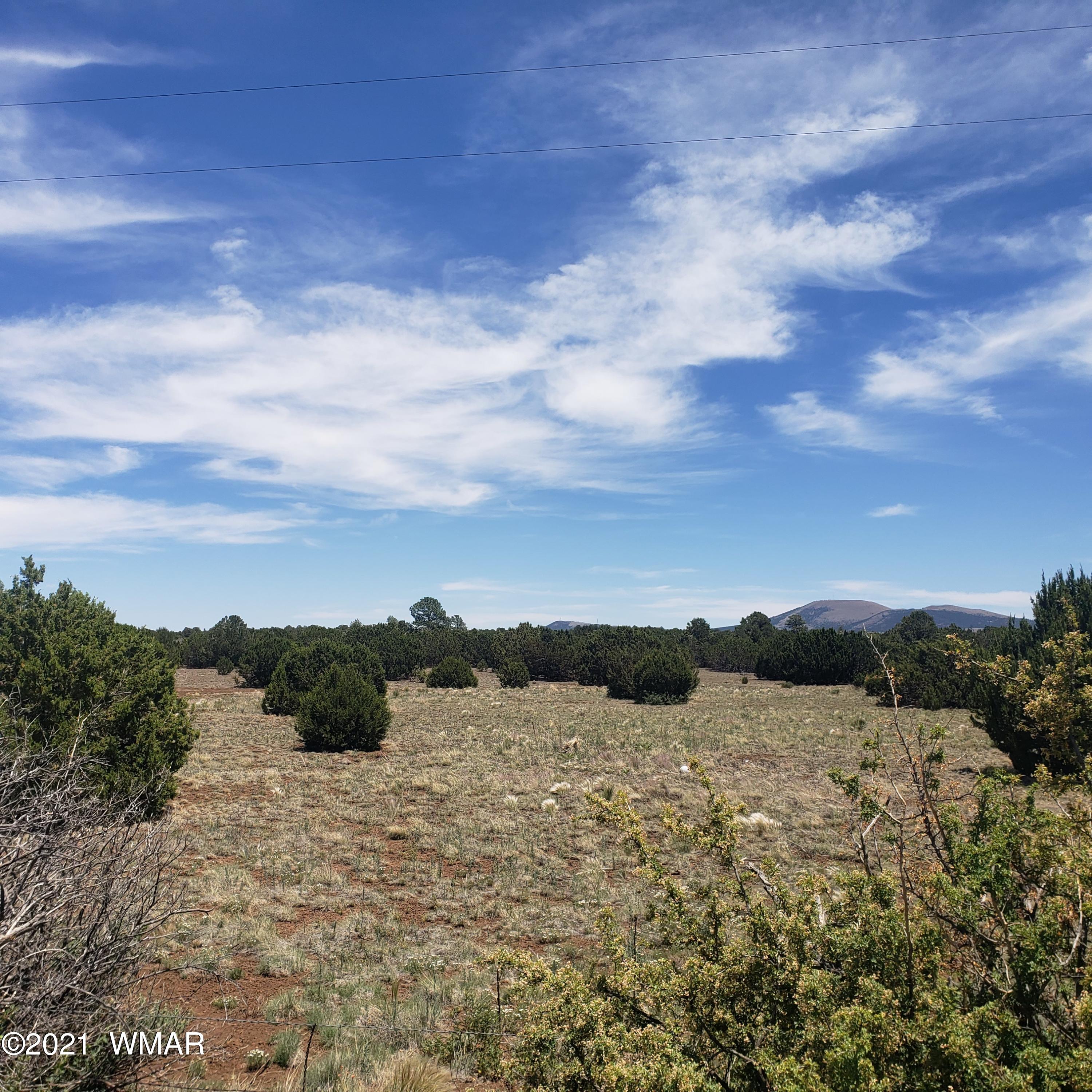 1782 Co Road Vernon, AZ 85940 - Photo 2 of 6